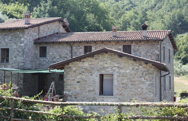 Le Chianine dei Tognoli - Foto 19