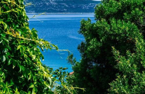 Holiday Home Villa Rokov - Foto 21