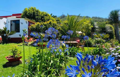 CASA DEL MIR - Photo 1