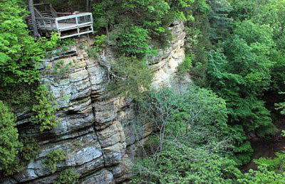 2BR Rustic Villa - Foto 41