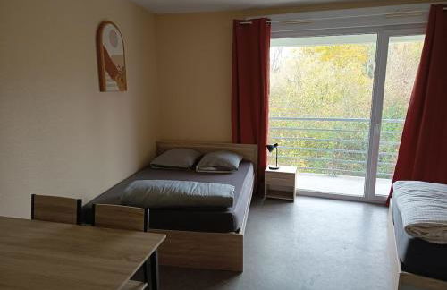 Grand Studio 4 couchages proche Université et CHU - Foto 7