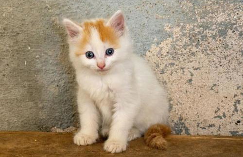 Ferienhof Stöhrmühle - Foto 21