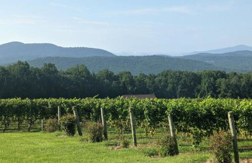 Blue Mountain Getaway Hot tub, Winery, Game Room - Foto 44