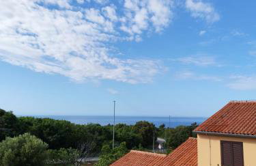 AriaDeMar - Foto 1