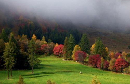 Studio Skis Aux Pieds - Foto 20