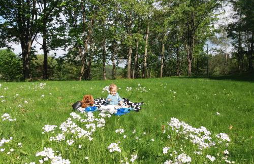 Za Siódmą Górą - Foto 55