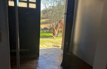 3 Bed Lodge - Sleeps 6 - Pool - Terrace - Parking - Foto 9