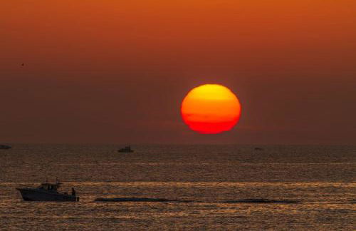 HOSSEGOR LA VIGIE entre lac et océan - Foto 8