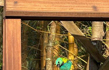 Piaça House - Piaçaguera -Pr - Foto 20