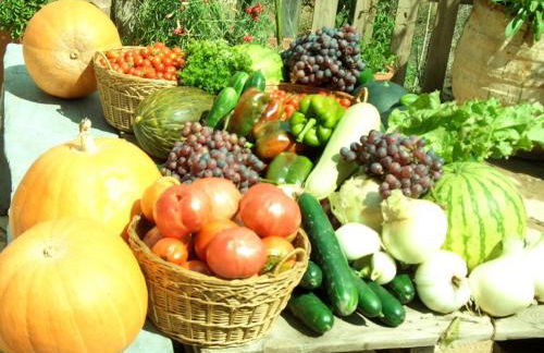 Masía La Posada del río Carbo - Photo 81