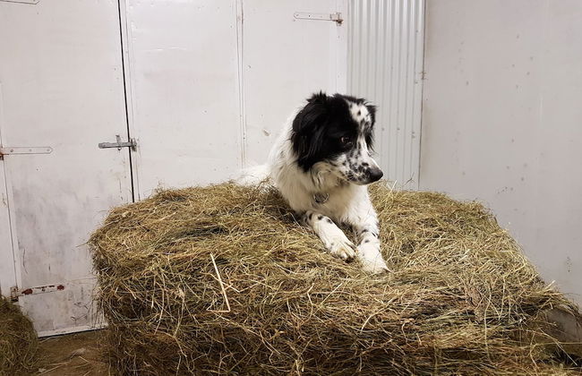 Vorsabær 2 Holiday Home - Foto 24