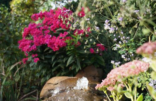 Haus am See - Foto 27