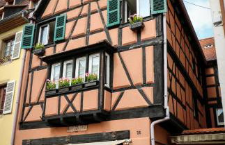 Gite Edelweiss à Eguisheim - Foto 49