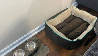 Cozy Bay Home Beach+Casino+More - Foto 5