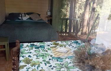 Cabañita de madera en Mas Coguleras - Photo 13