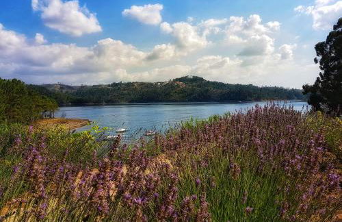 Paraíso Azul - Foto 25