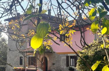 B&B Camelia - Foto 1