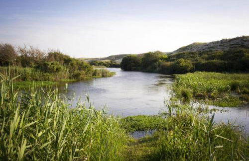 Gite mimosas - Foto 25