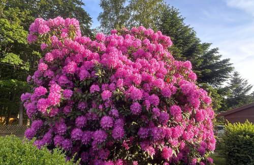 Nense Cottage - Foto 5