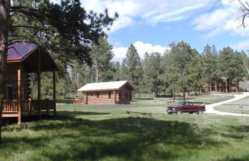 Renegade Log Cabin - Foto 11