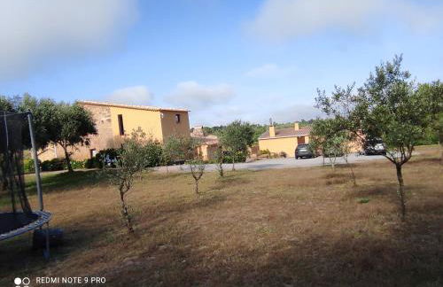 Quinta Damigo - Foto 9