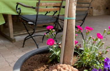 Refugium 12 - Foto 25