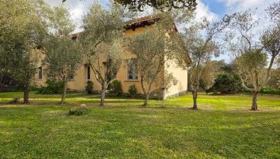 Case vacanza "Gli Ulivi" - Photo 4, Garden view