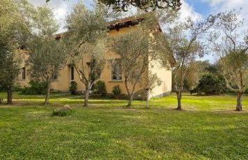 Case vacanza "Gli Ulivi" - Foto 4