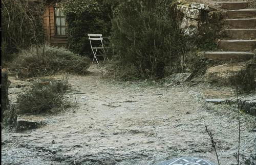 Cabayourte à la mauvaise herbe - Foto 26