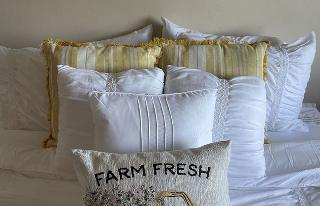 Evergreen Apartments - Photo 6