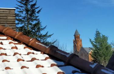 spéculoos et chicorée - Foto 17