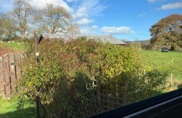 Cosy cottage in Snowdonia hamlet - Foto 23