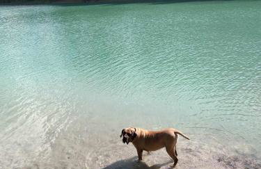 Cały dom na wyłączność - Ostoja Leśna Cisza - Foto 12