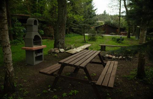 Stacja Natura - Foto 22
