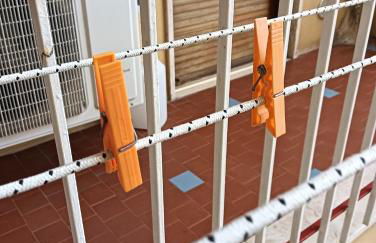 Don Alfonso Apartaments - Foto 51