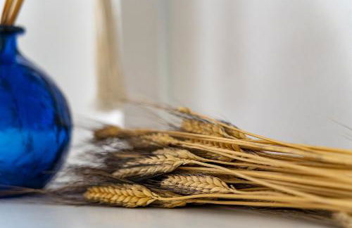 Apartaments Tee & Sea - Foto 28