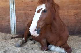 Lieblingsplatz - Foto 10