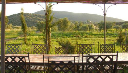 La Pulledraia Del Podere Montegrappa - Photo 5, Garden view