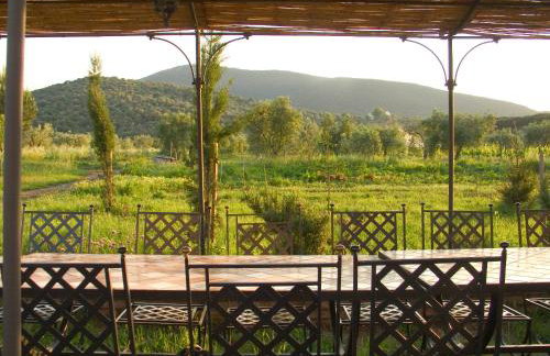 La Pulledraia Del Podere Montegrappa - Photo 6