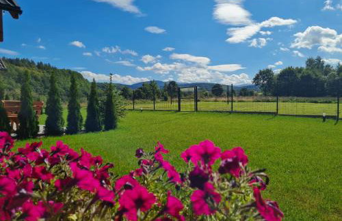 Słoneczne Domki Sudety - Domki Całoroczne Kotlina Kłodzka - Foto 43
