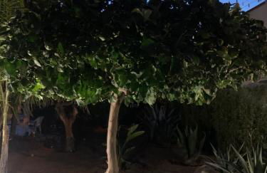 Casa Vacanze Astori - Foto 30