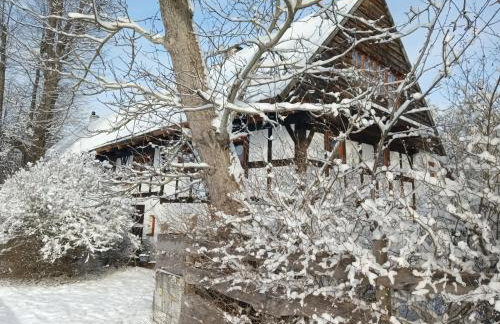 Smocza Chata - Foto 1