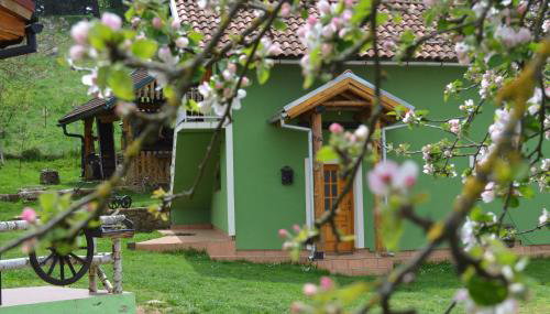 Ivona - Kuća za odmor Perušić - Stara Lika - Photo 2, Garden