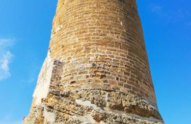 White Lotus - Foto 8