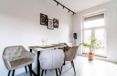 APARTAMENT OGRODOWA premium z ruską banią, kominkiem i oranżerią w centrum - Foto 20