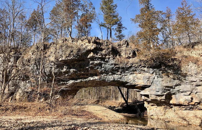 Rock Eddy Bluff Farm - Photo 39