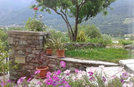 Il Pesco - CIR 0024 - Foto 14