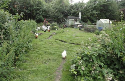 Dachwohnung im Fairhandelshaus - Foto 28