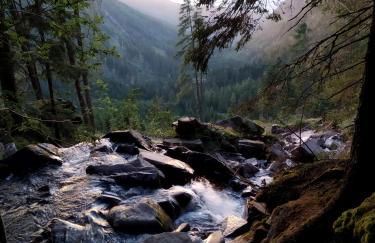 Mini Maule - Foto 39