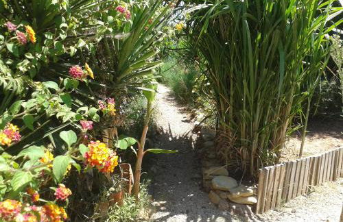 Quinta da Fornalha - Santuario Agroecologico - Foto 30